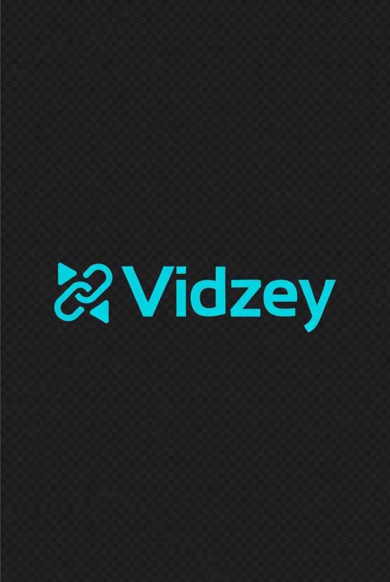 Vidzey Logo
